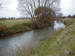 Biggleswade Common in late Winter