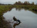 Ledgering in middle section Biggleswade Common
